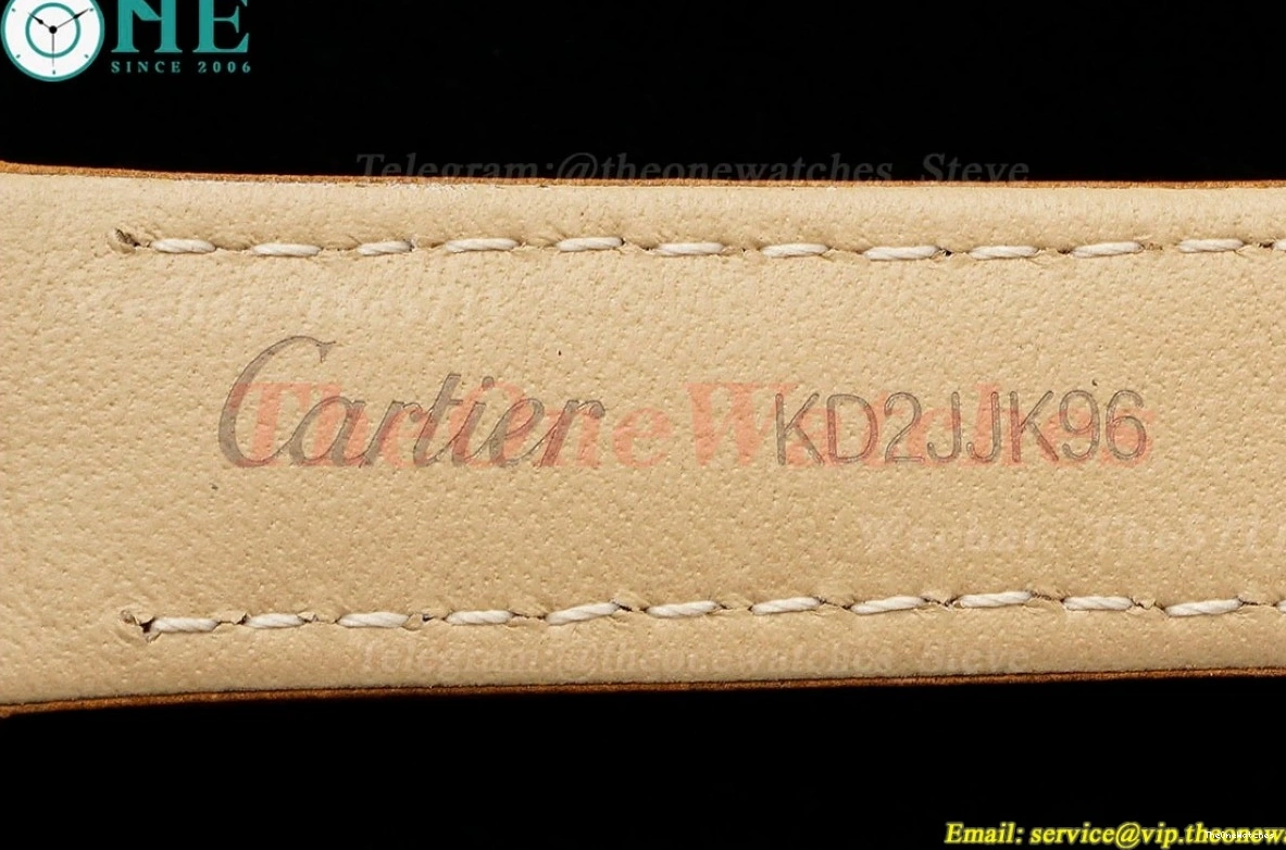 Dumont Dial Brown Silver Santos SS AF LE Quartz 0402